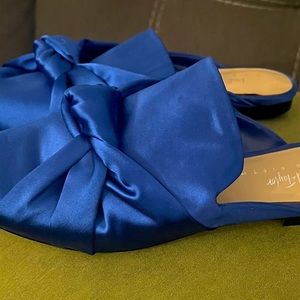NWOT 💕💕 LORD & TAYLOR Blue Mules- luxury!